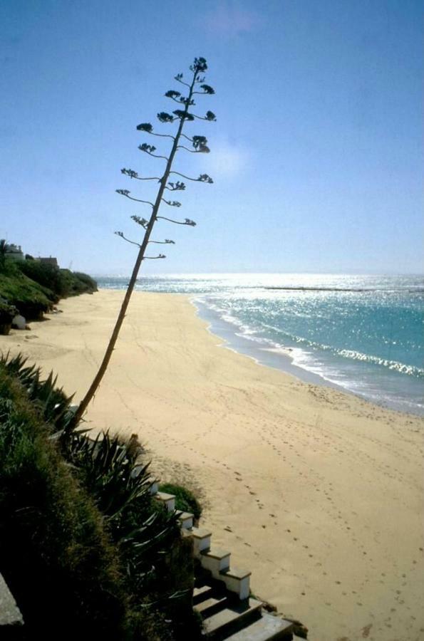 Vila Casa "La Brena". Surf,Sol Y Relax. Los Canos De Meca Exteriér fotografie